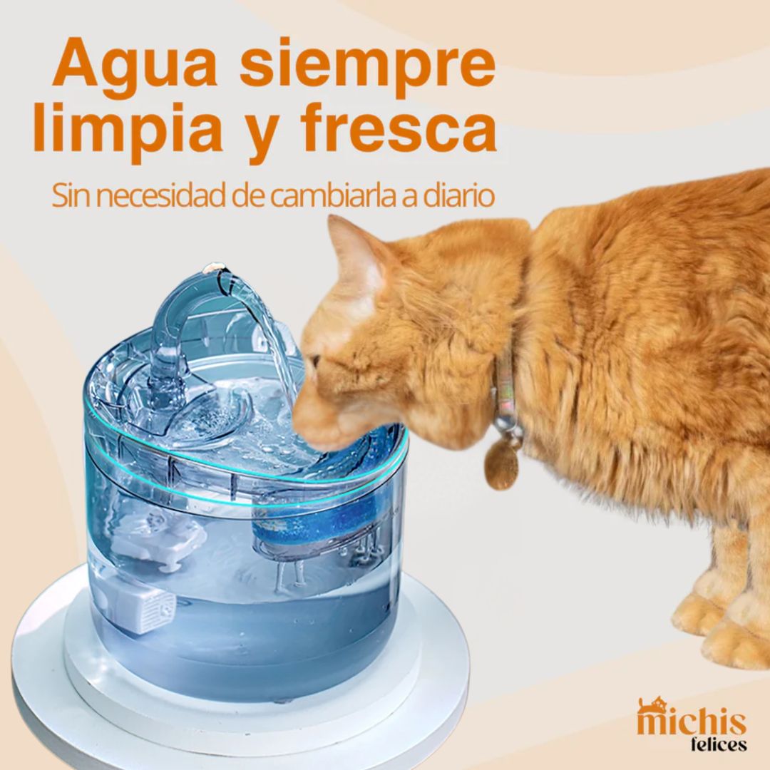 Michi Fuente Purificadora + REGALO ESPECIAL PARA TU MICHI